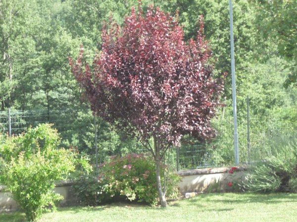 baita in affitto a Ventasso in zona Ligonchio