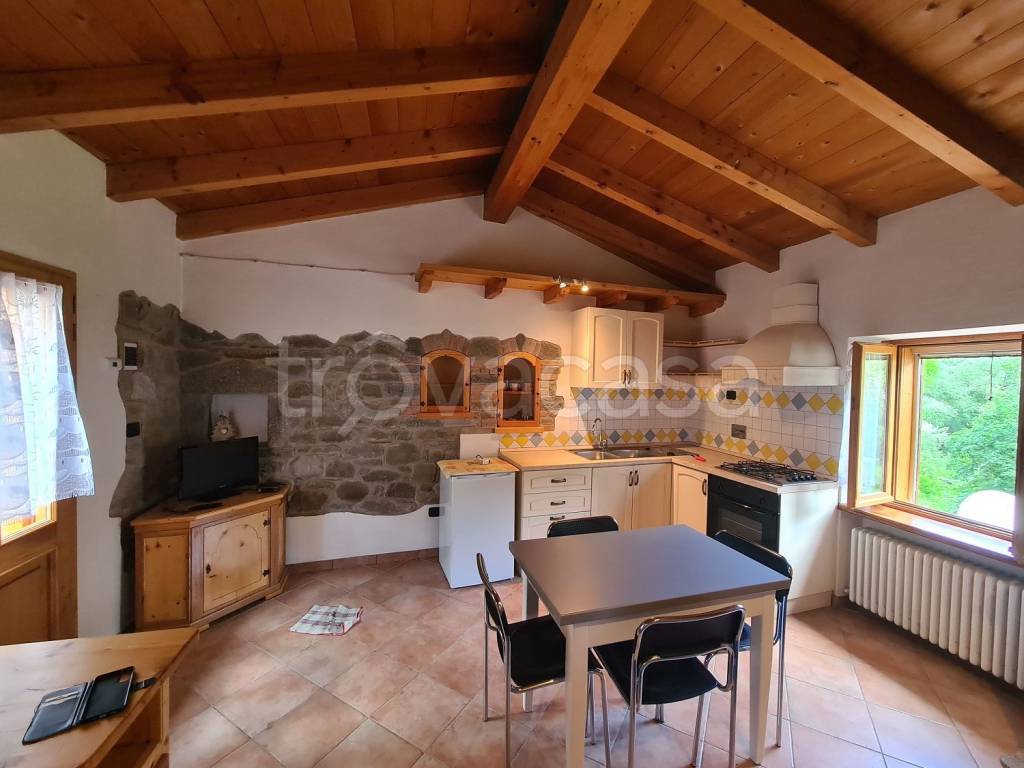 appartamento in affitto a Ventasso in zona Cerreto Alpi