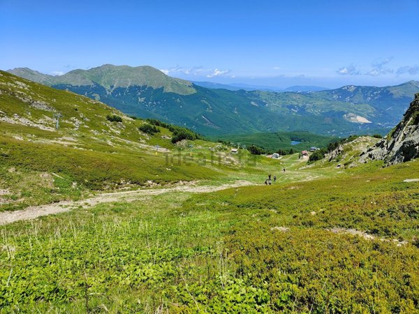 appartamento in affitto a Ventasso in zona Cerreto Alpi