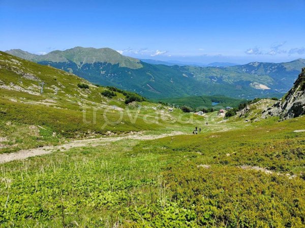 appartamento in affitto a Ventasso in zona Cerreto Alpi