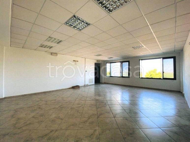 appartamento in affitto a Bomporto