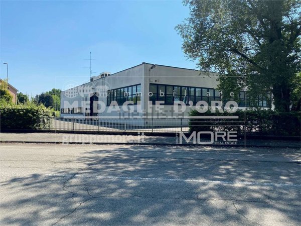 immagine annuncio 0 di 1