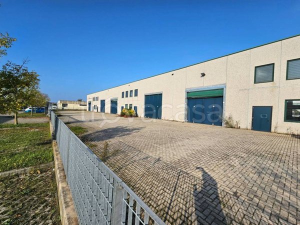 locale commerciale in affitto a Camposanto