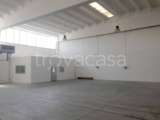 locale commerciale in affitto a Carpi in zona Quartirolo