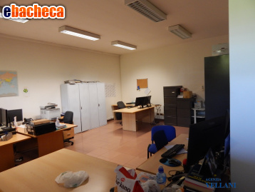 appartamento in affitto a Carpi
