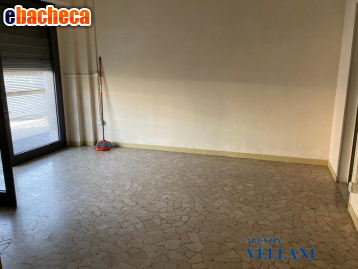 appartamento in affitto a Carpi