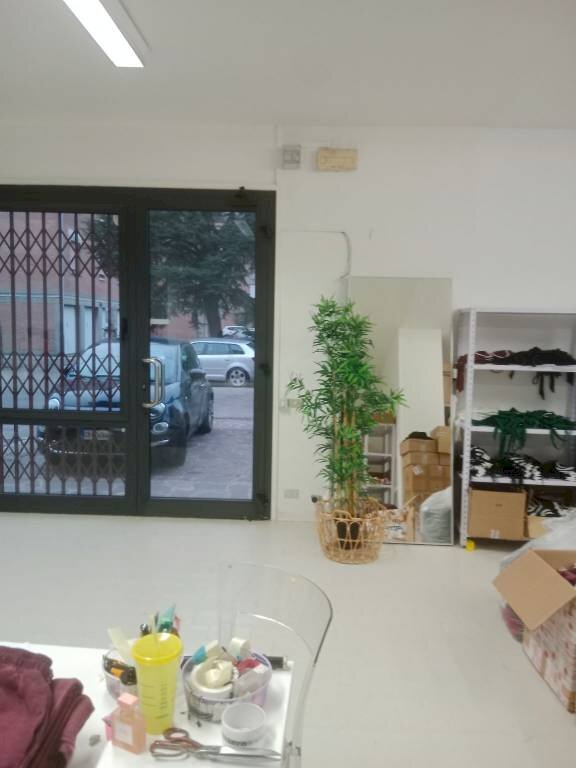 loft in affitto a Carpi in zona Quartirolo