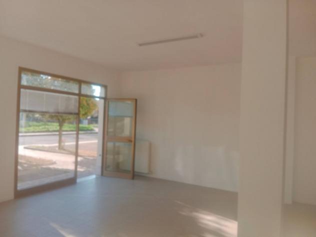 negozio in affitto a Carpi