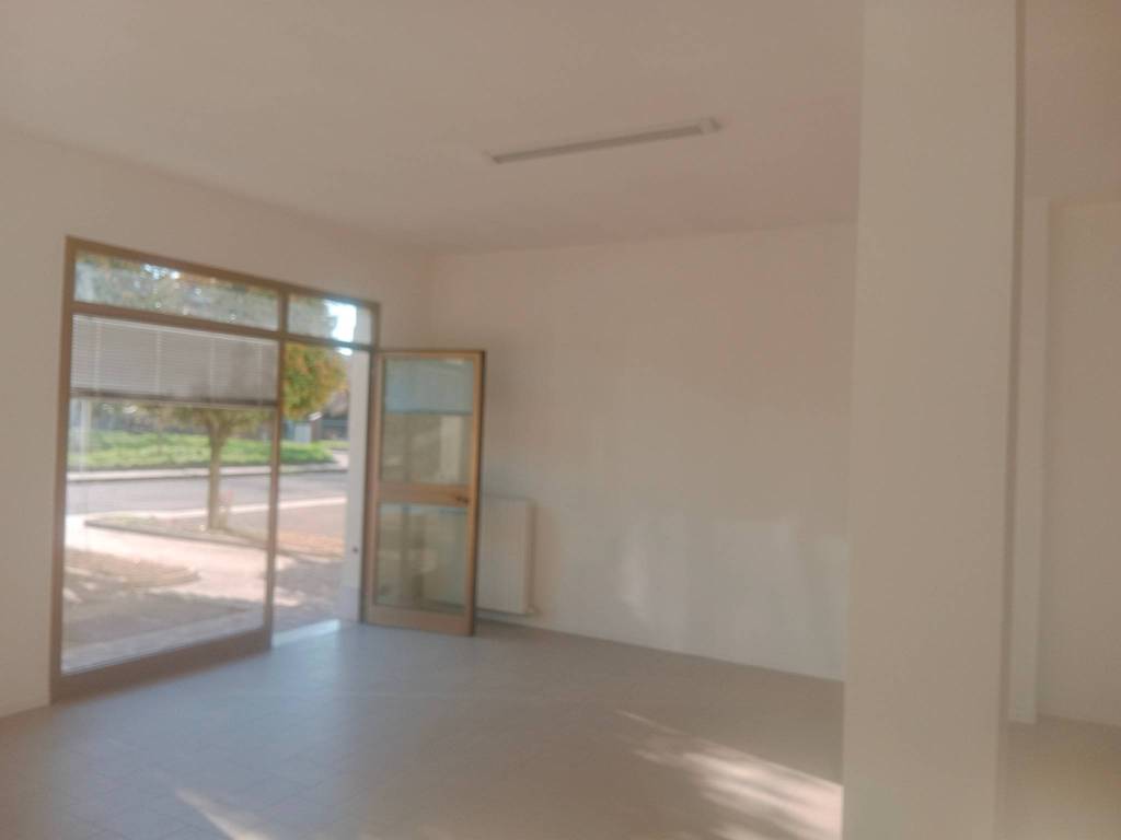 negozio in affitto a Carpi