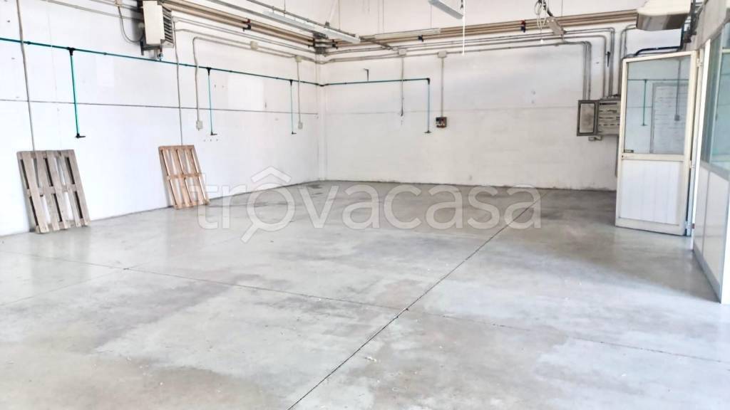 appartamento in affitto a Carpi