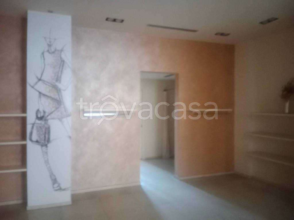 appartamento in affitto a Carpi