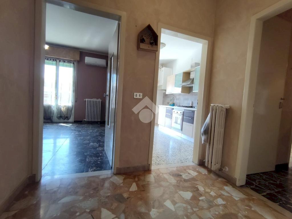 appartamento in affitto a Carpi