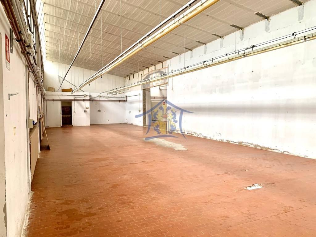 appartamento in affitto a Carpi