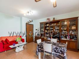 appartamento in affitto a Carpi in zona Cortile