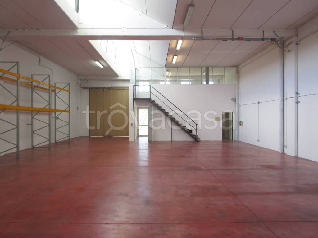 appartamento in affitto a Carpi