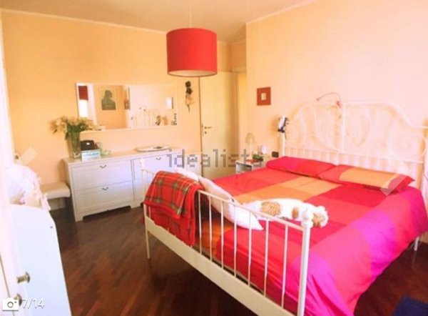 appartamento in affitto a Carpi