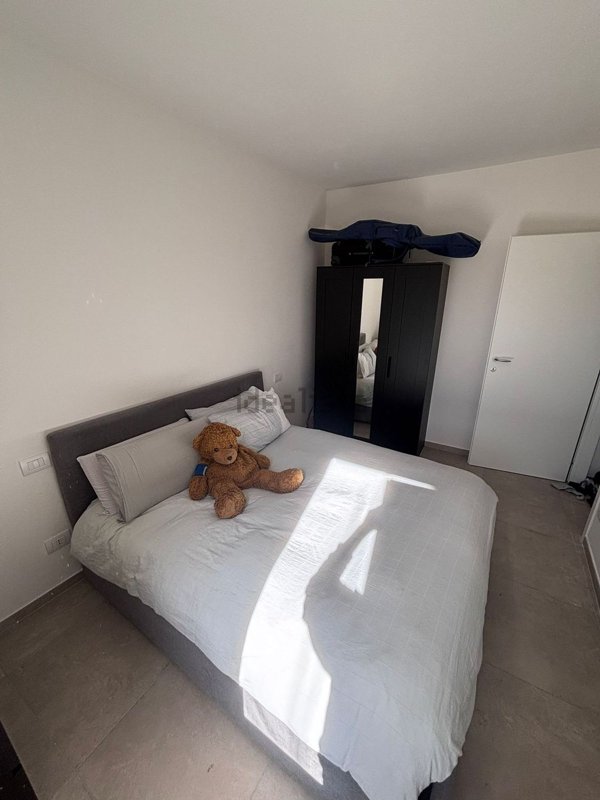 appartamento in affitto a Carpi