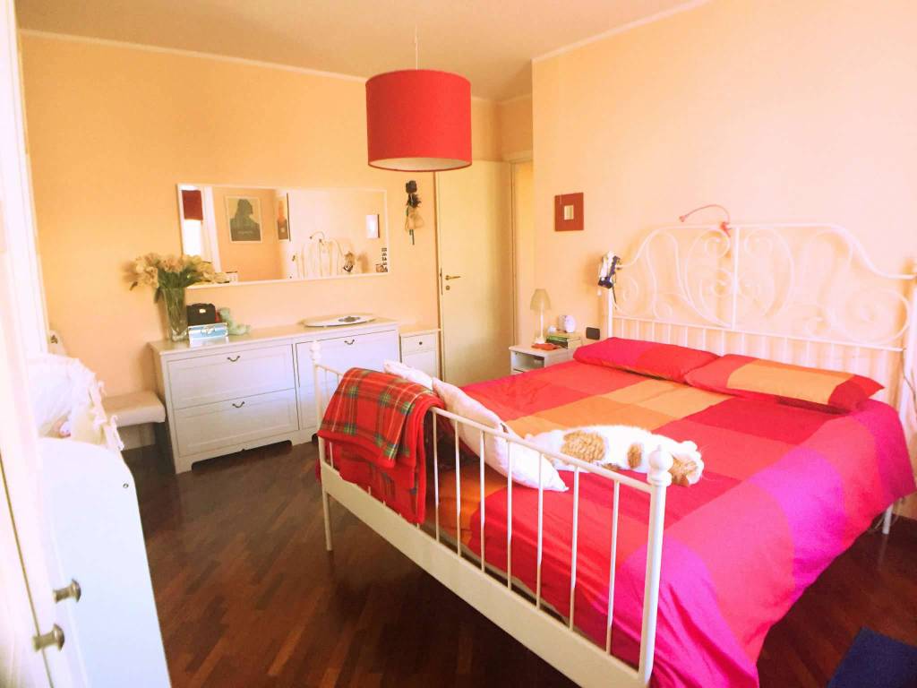 appartamento in affitto a Carpi