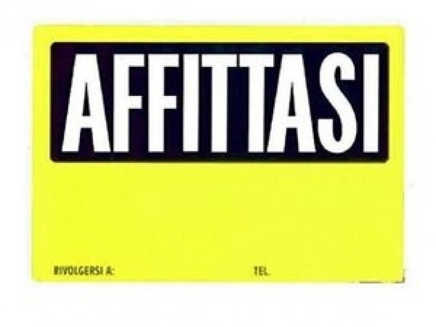 negozio in affitto a Carpi