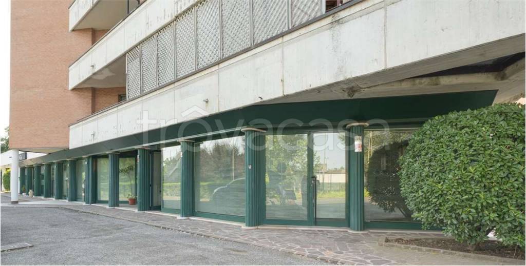 negozio in affitto a Carpi in zona Cibeno Pile