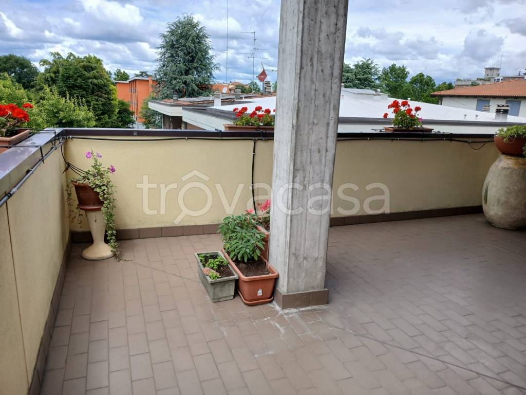 appartamento in affitto a Castelfranco Emilia