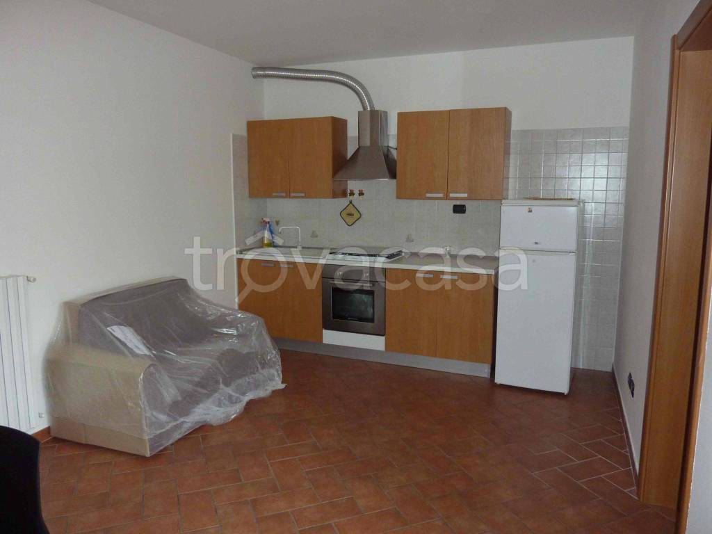 appartamento in affitto a Castelfranco Emilia