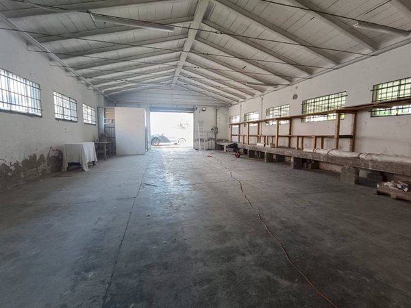 loft in affitto a Castelfranco Emilia in zona Piumazzo