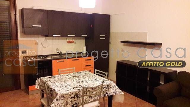 appartamento in affitto a Castelfranco Emilia