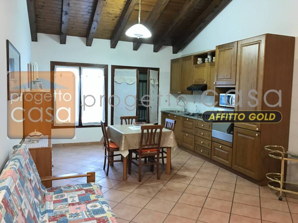 appartamento in affitto a Castelfranco Emilia