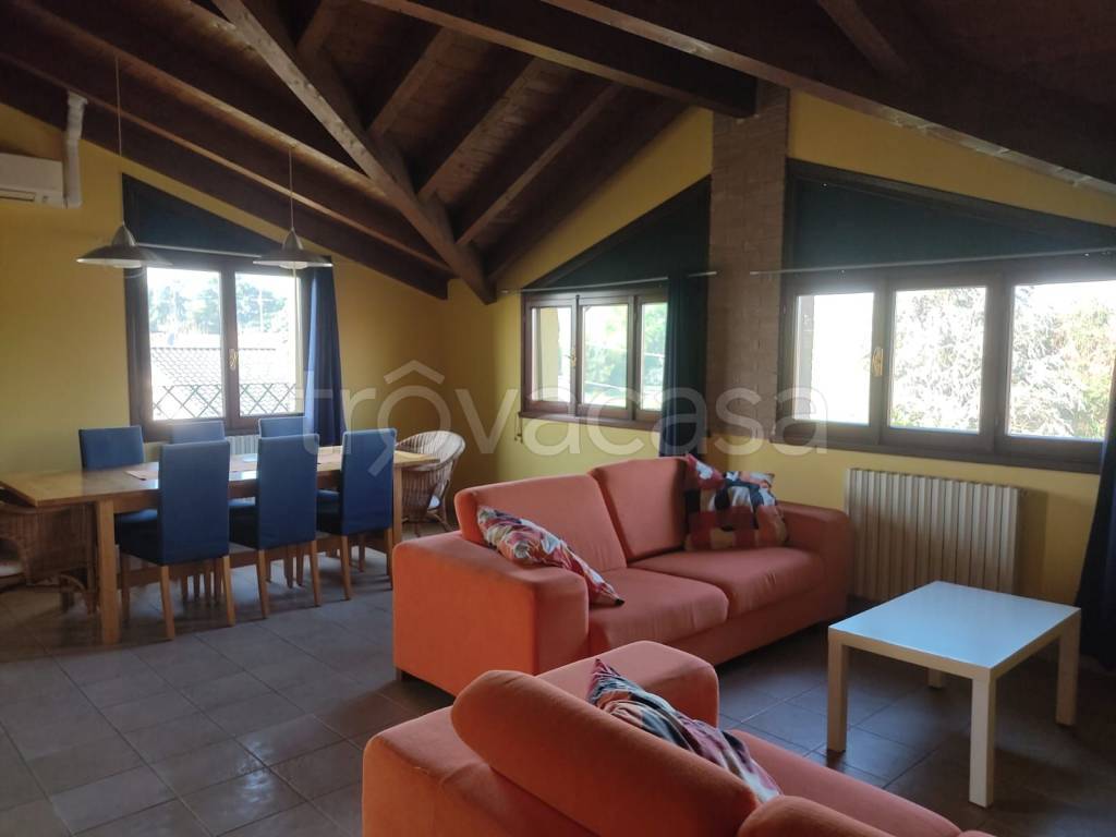 appartamento in affitto a Castelnuovo Rangone