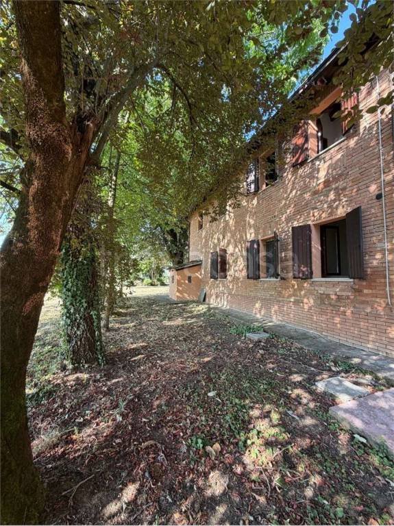 appartamento in affitto a Castelnuovo Rangone