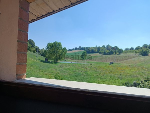 appartamento in affitto a Castelvetro di Modena