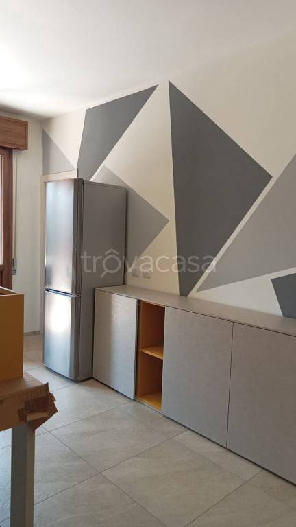 appartamento in affitto a Castelvetro di Modena