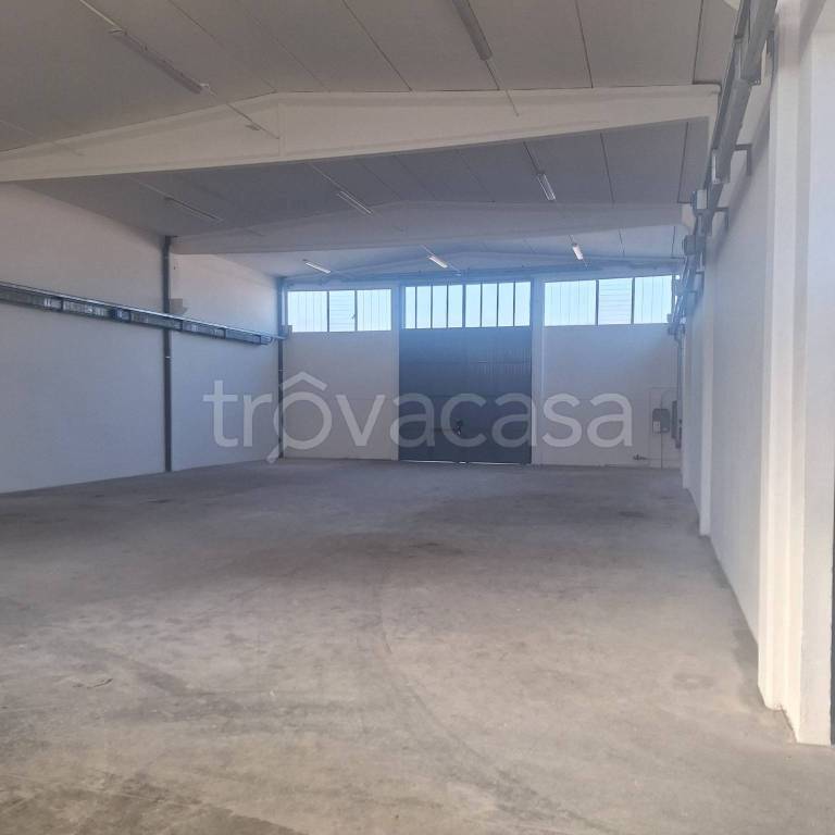 appartamento in affitto a Castelvetro di Modena