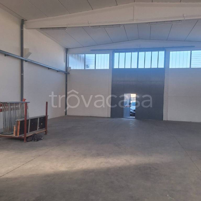 appartamento in affitto a Castelvetro di Modena