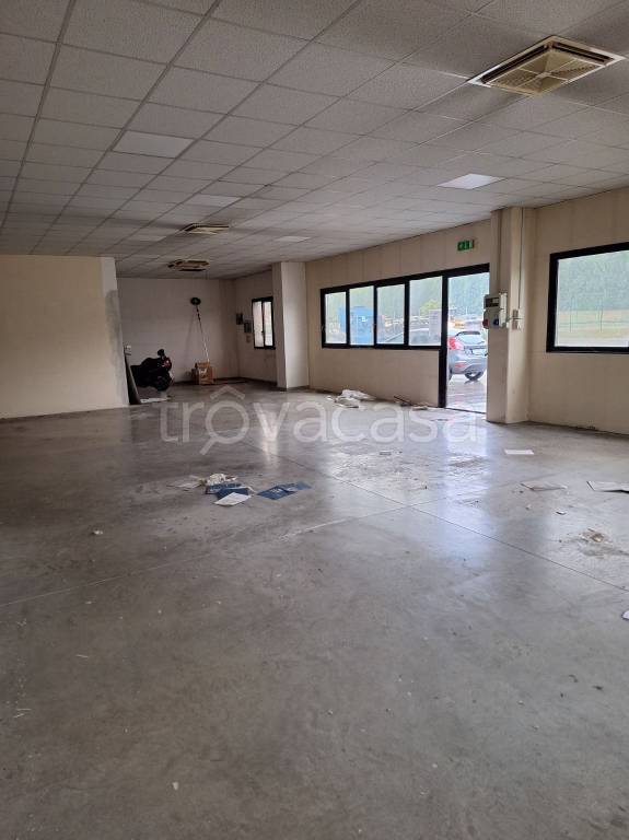 ufficio in affitto a Castelvetro di Modena