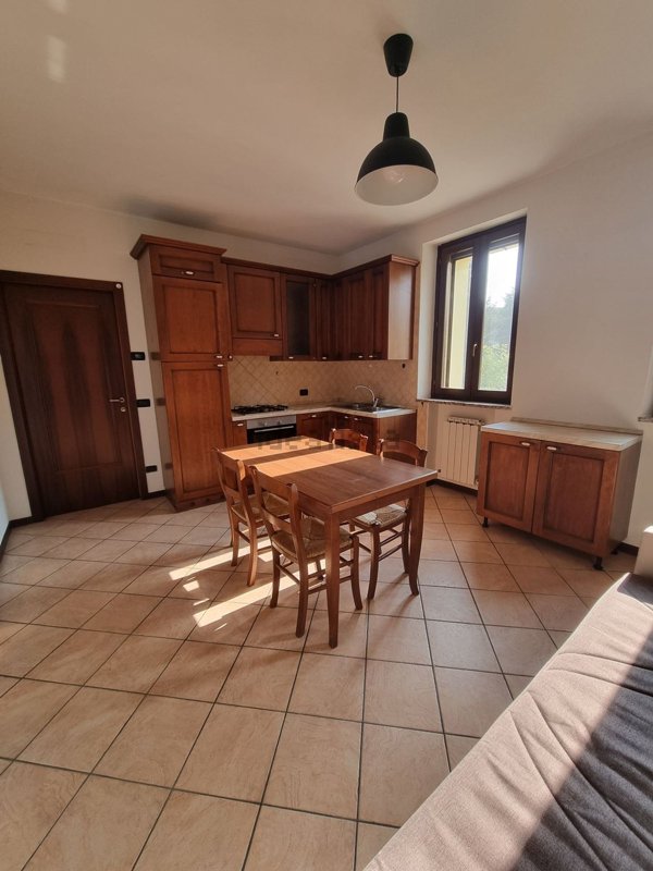 appartamento in affitto a Castelvetro di Modena