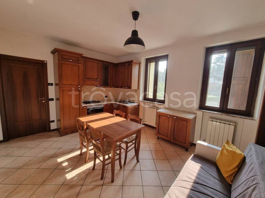 appartamento in affitto a Castelvetro di Modena