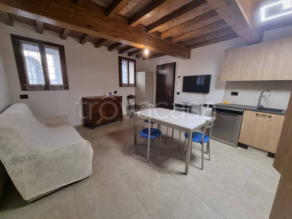 appartamento in affitto a Castelvetro di Modena