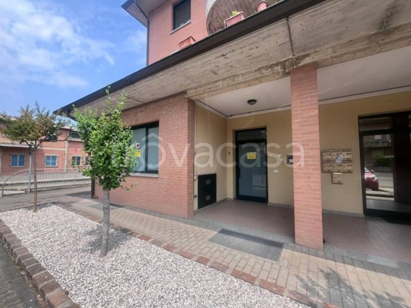 negozio in affitto a Castelvetro di Modena