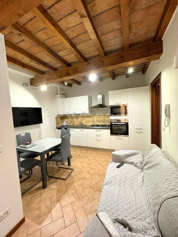 appartamento in affitto a Castelvetro di Modena
