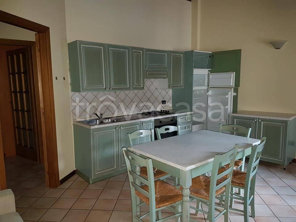 appartamento in affitto a Castelvetro di Modena