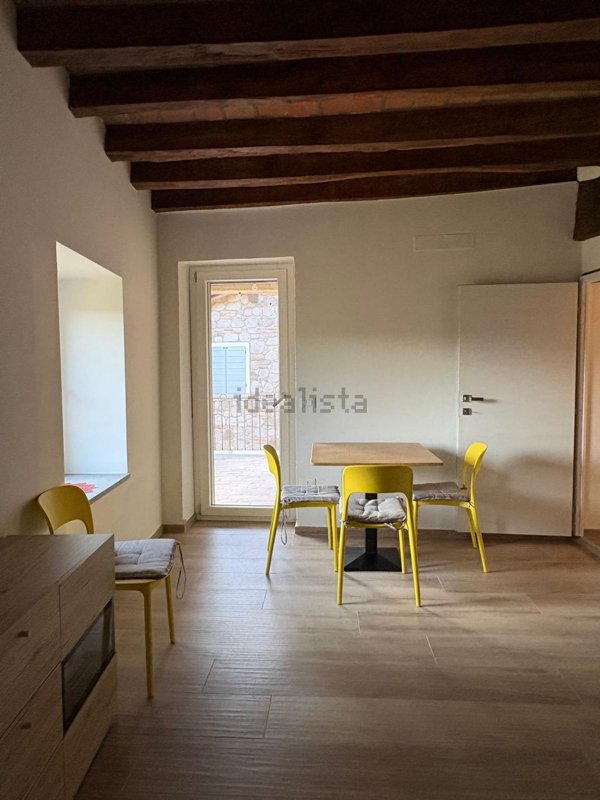 appartamento in affitto a Castelvetro di Modena
