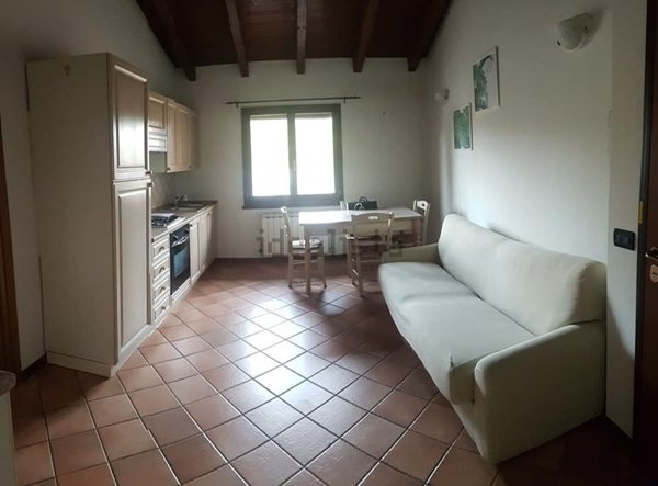 appartamento in affitto a Castelvetro di Modena