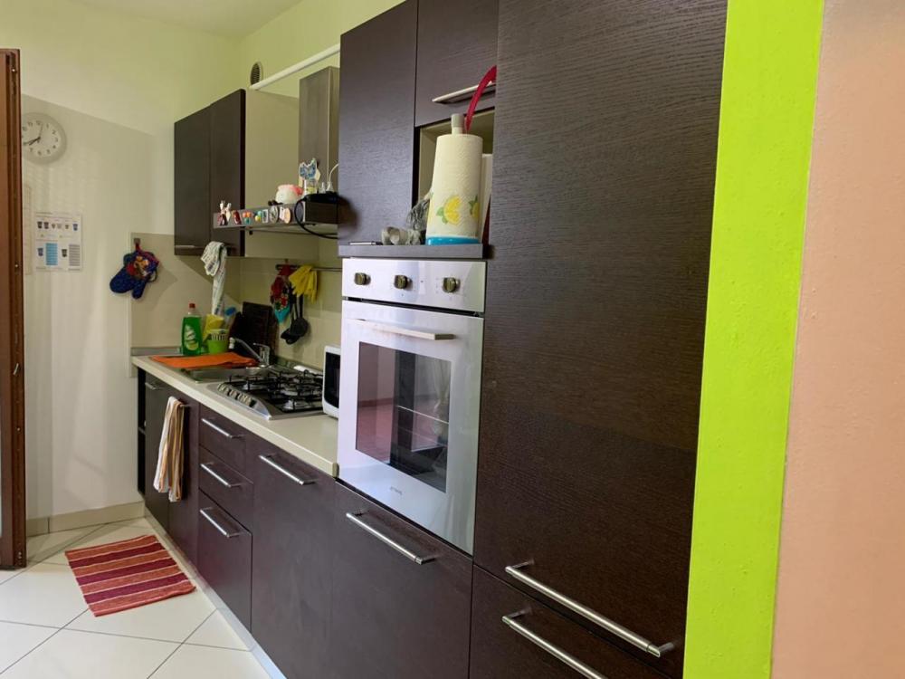 appartamento in affitto a Cavezzo