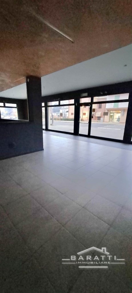 trivano in affitto a Cavezzo