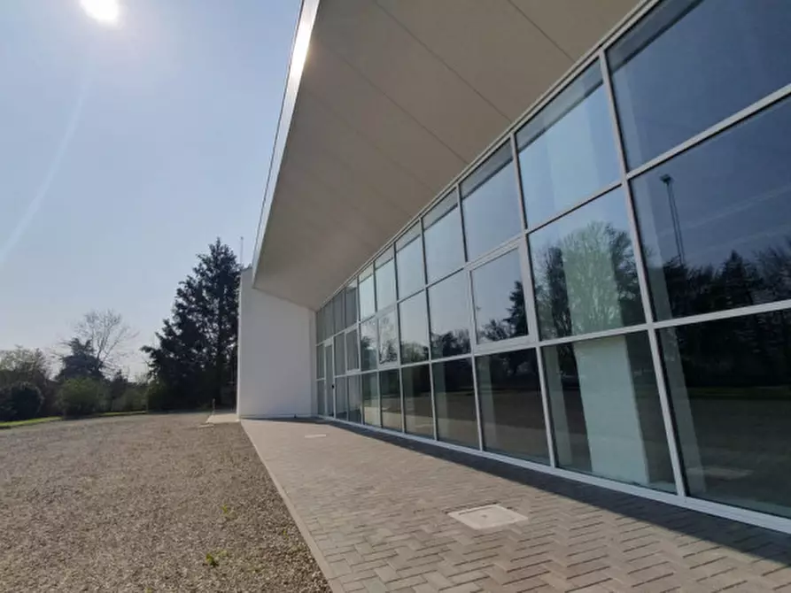 capannone in affitto a Cavezzo