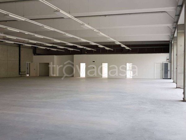 locale commerciale in affitto a Cavezzo