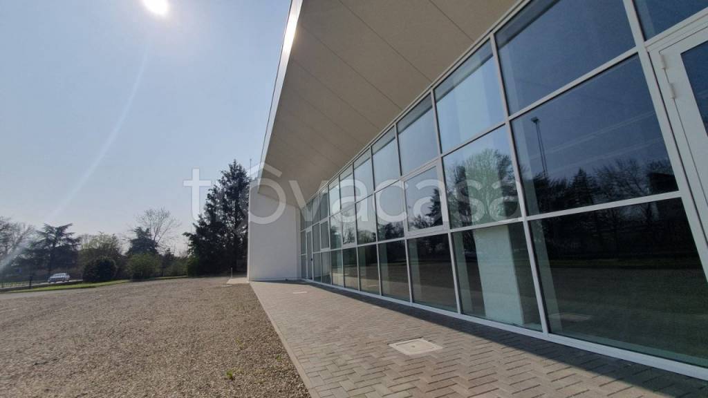 locale commerciale in affitto a Cavezzo