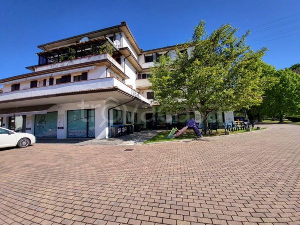 negozio in affitto a Finale Emilia